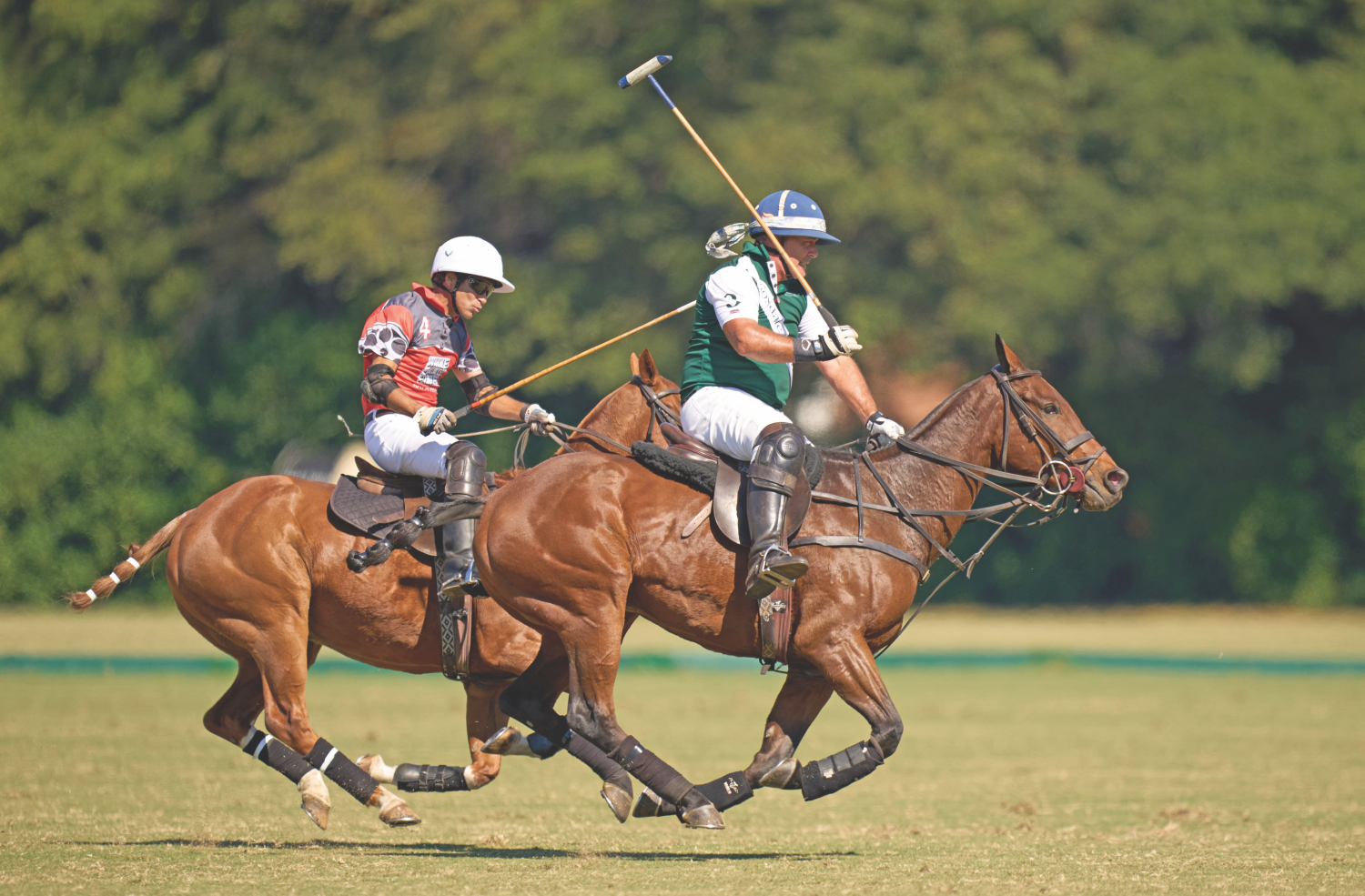 Polo players galloping across the field during a match in Aiken, South Carolina
