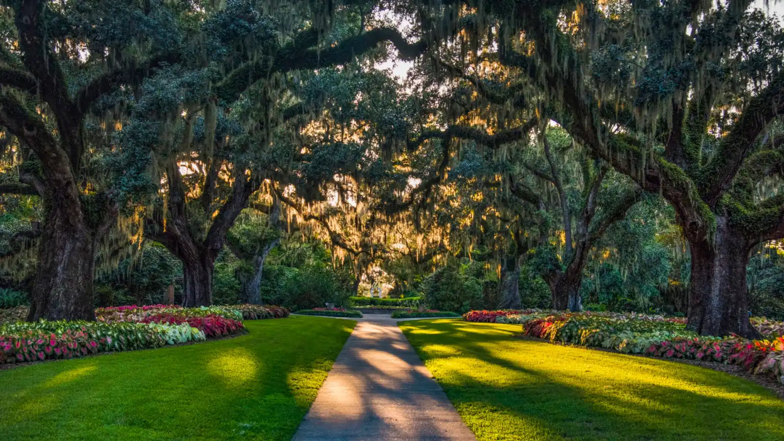 A garden path beneath moss-draped live oaks at Hopelands Gardens