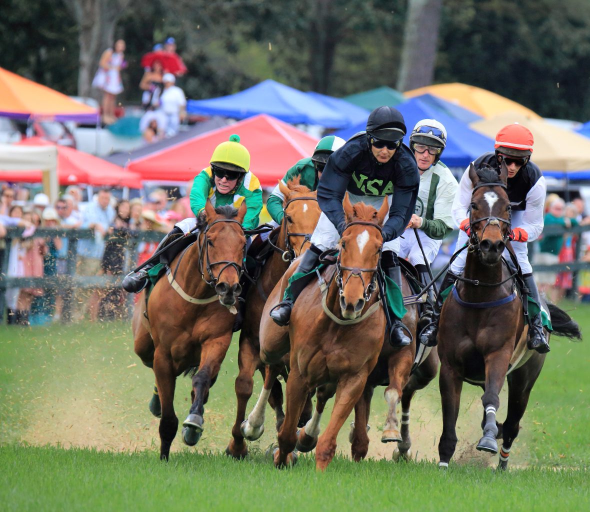 Thoroughbreds racing neck and neck at the Aiken Steeplechase